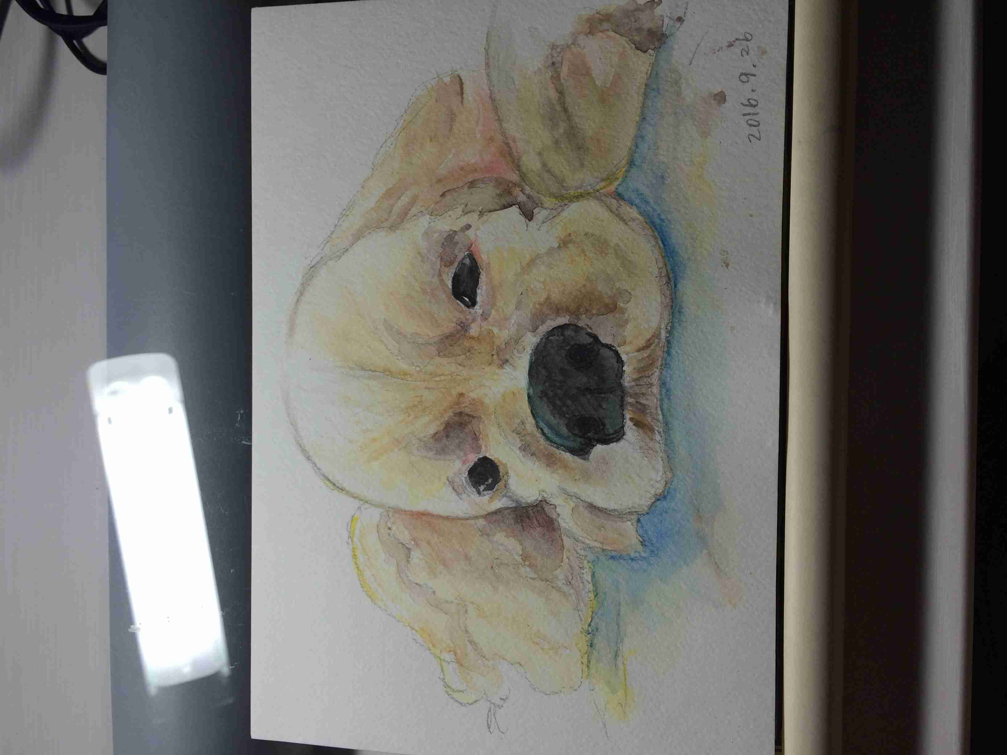 生き物を描こう！