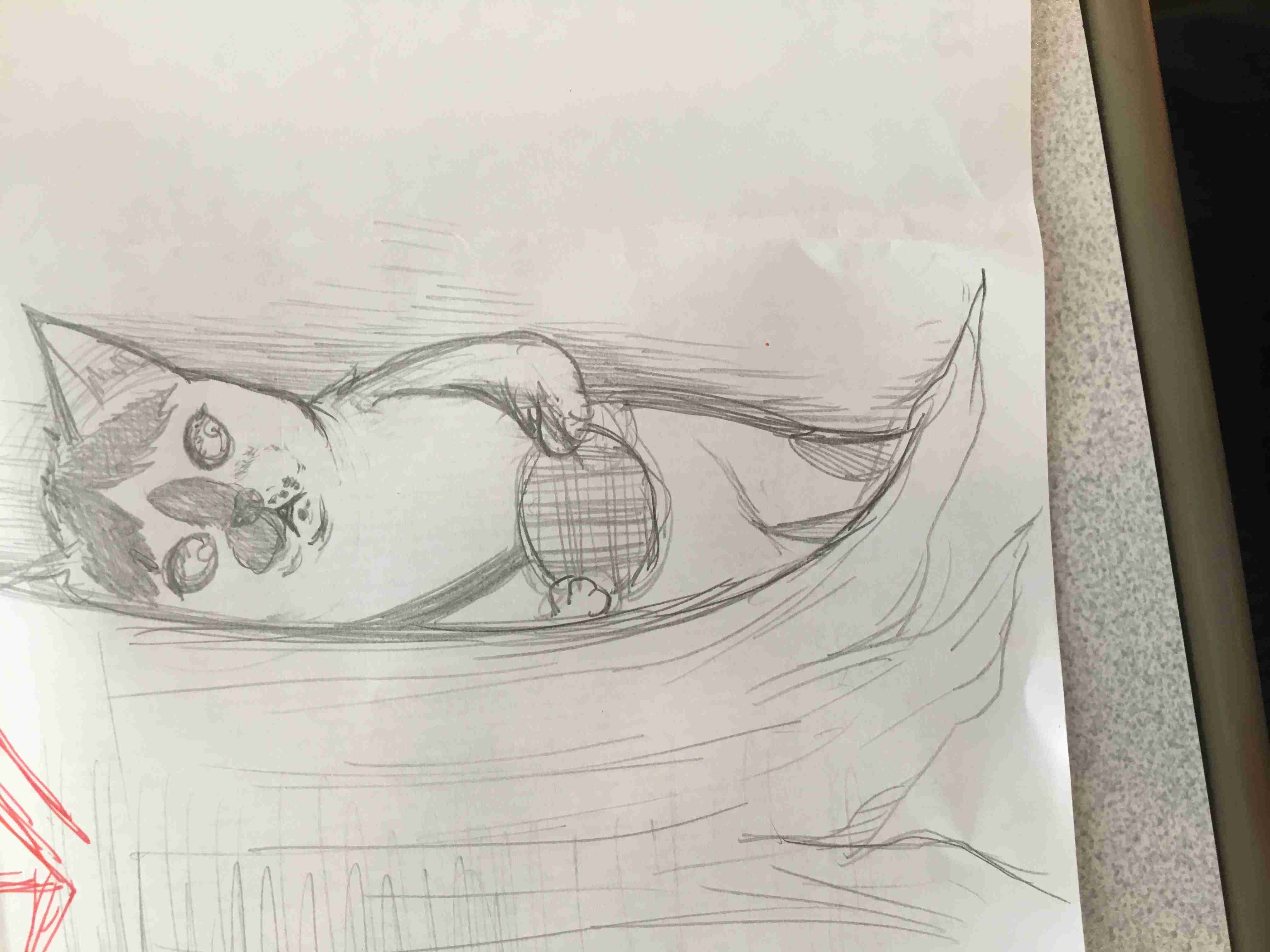 生き物を描こう！