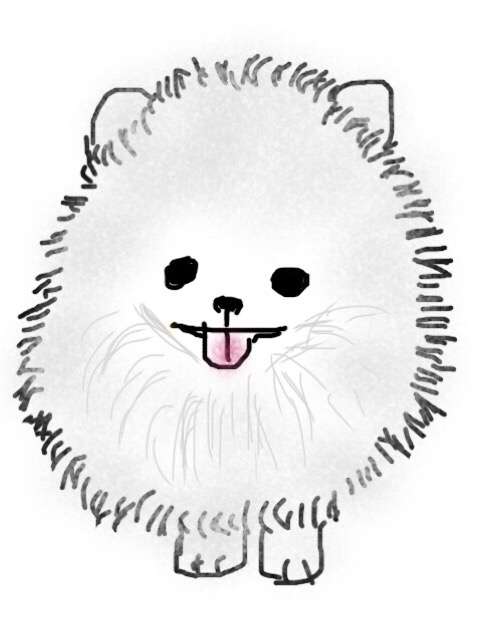 生き物を描こう！