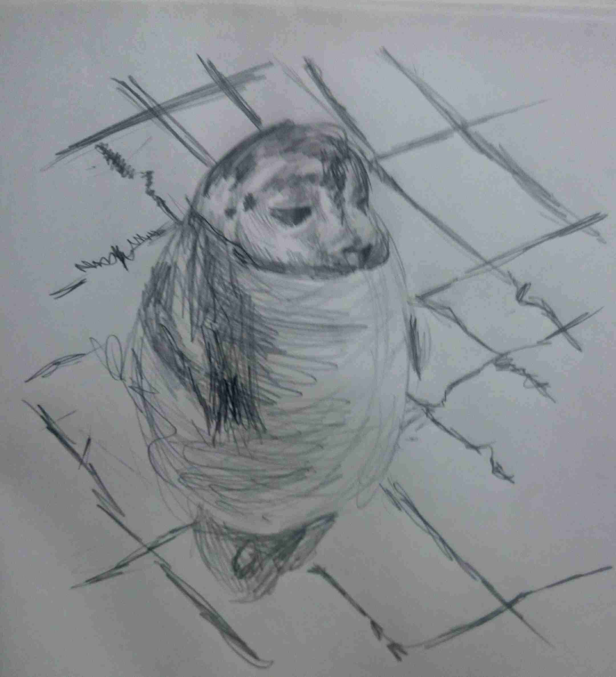 生き物を描こう！