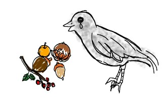 生き物を描こう！
