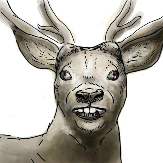 生き物を描こう！
