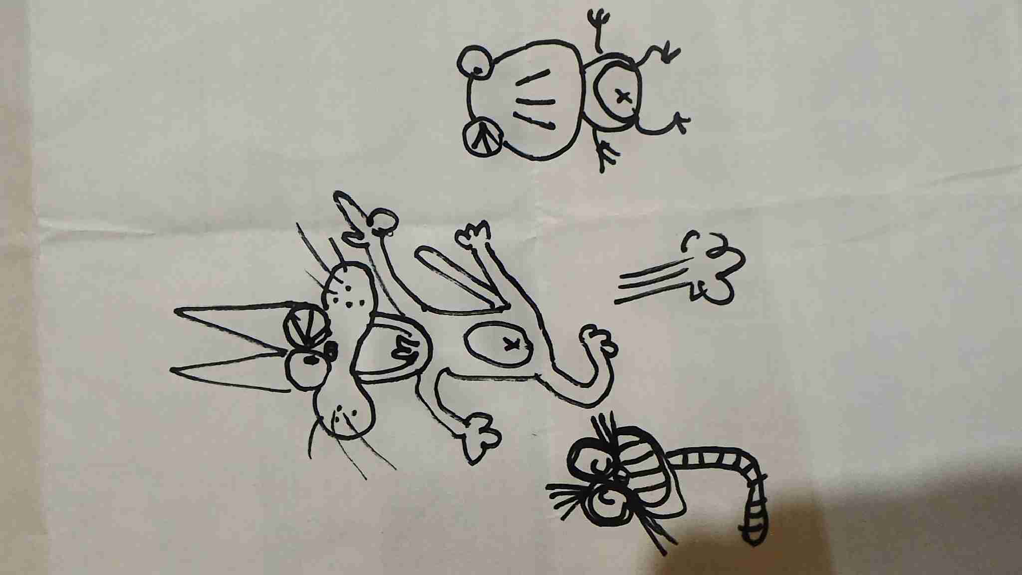 生き物を描こう！