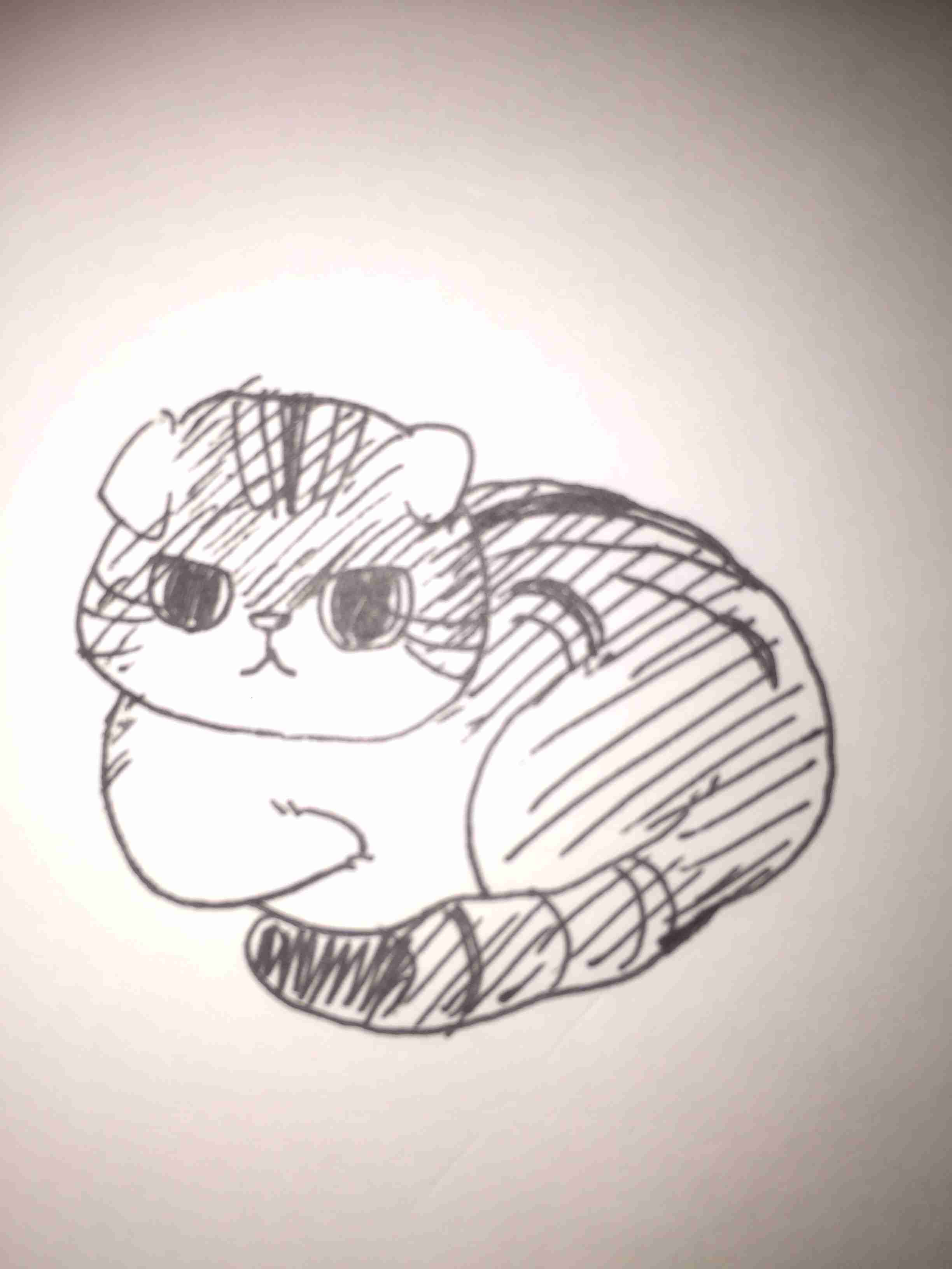 生き物を描こう！