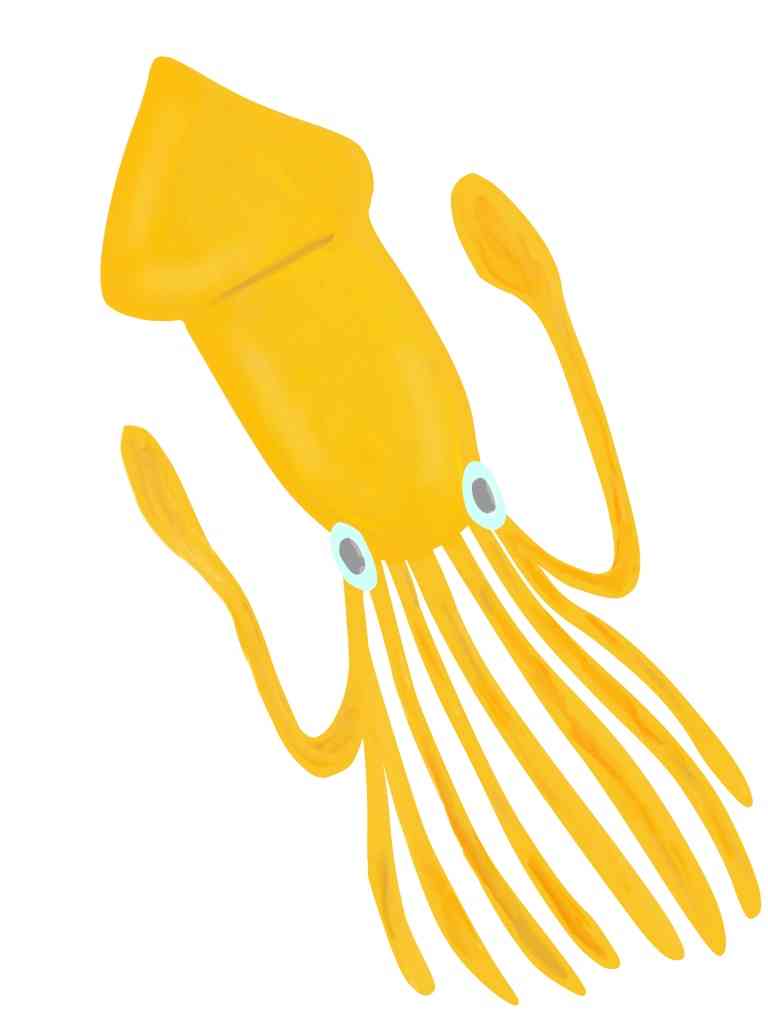 生き物を描こう！