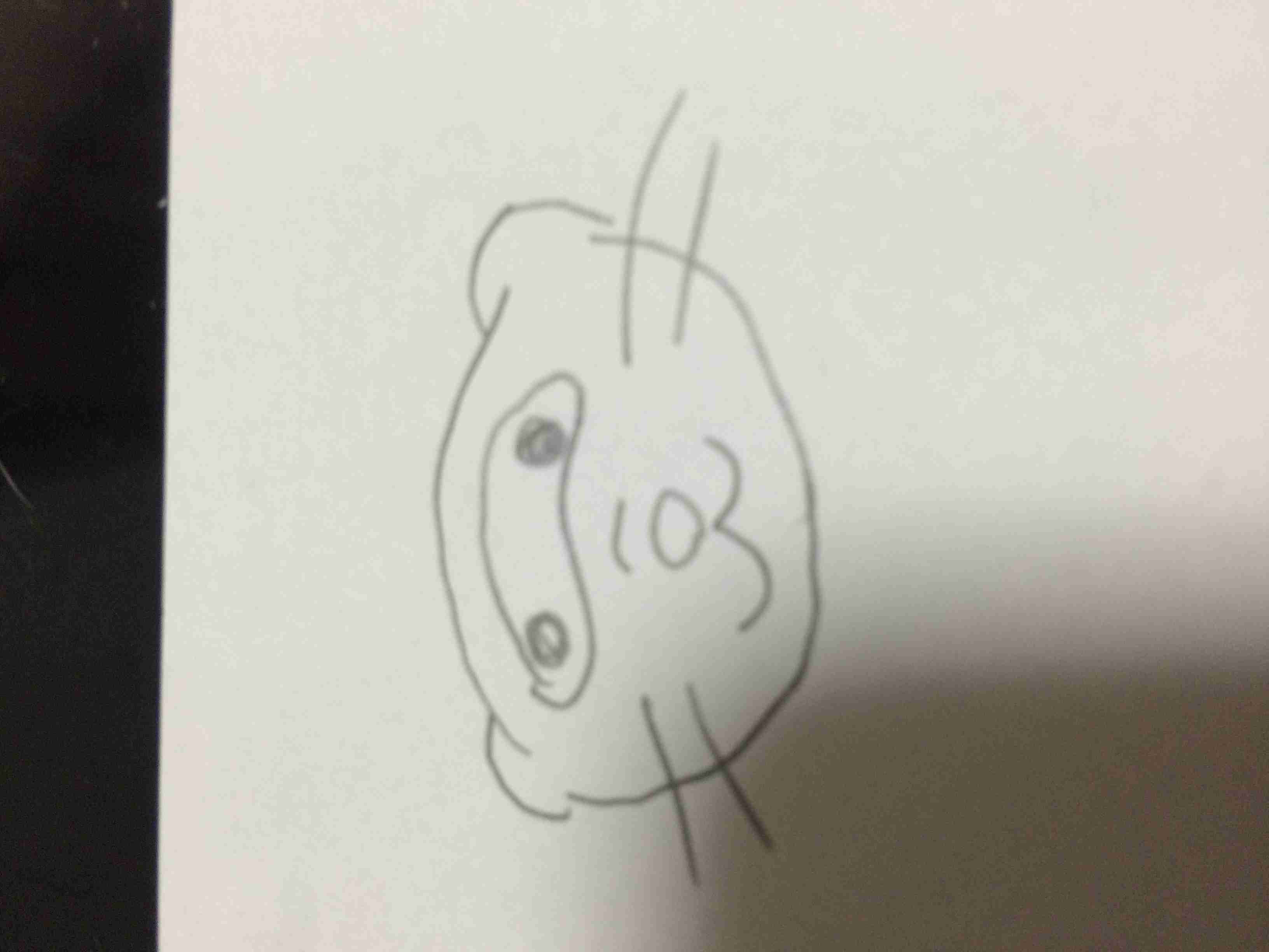 生き物を描こう！
