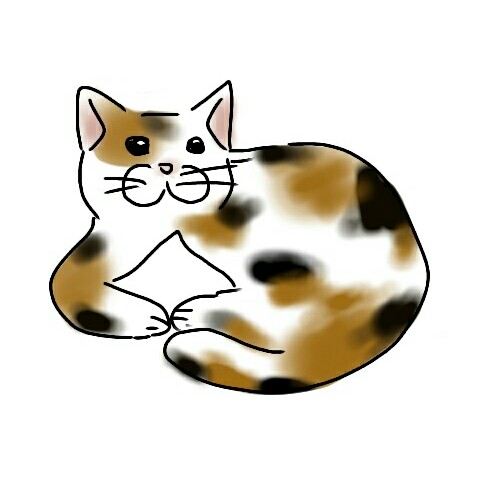 生き物を描こう！