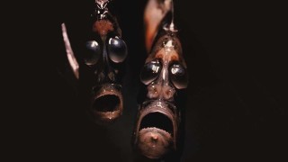 生き物を描こう！
