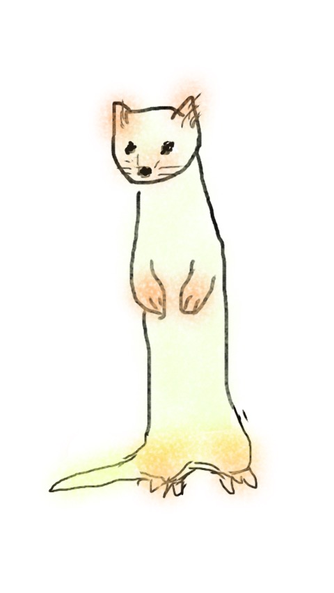 生き物を描こう！