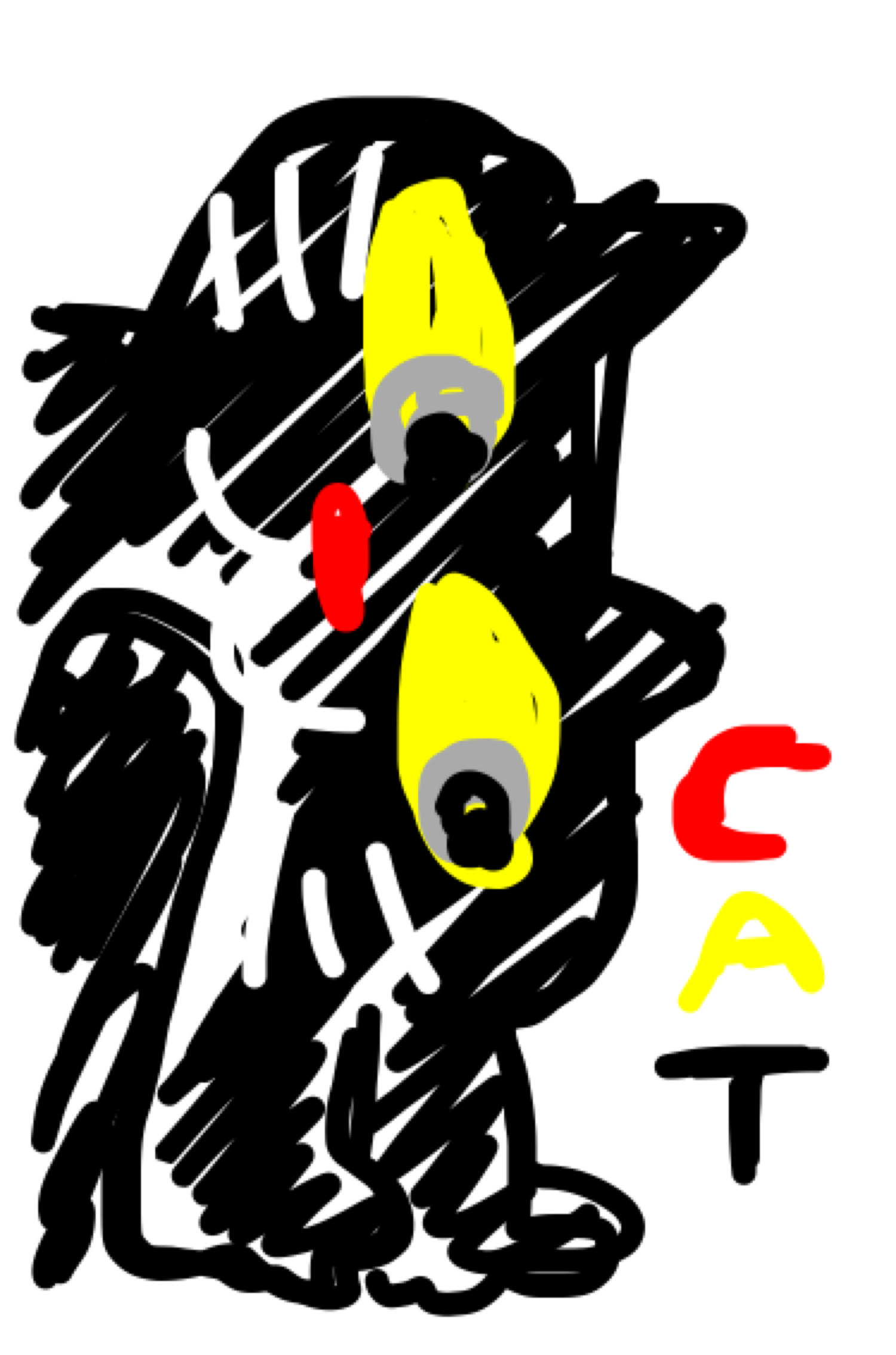 生き物を描こう！