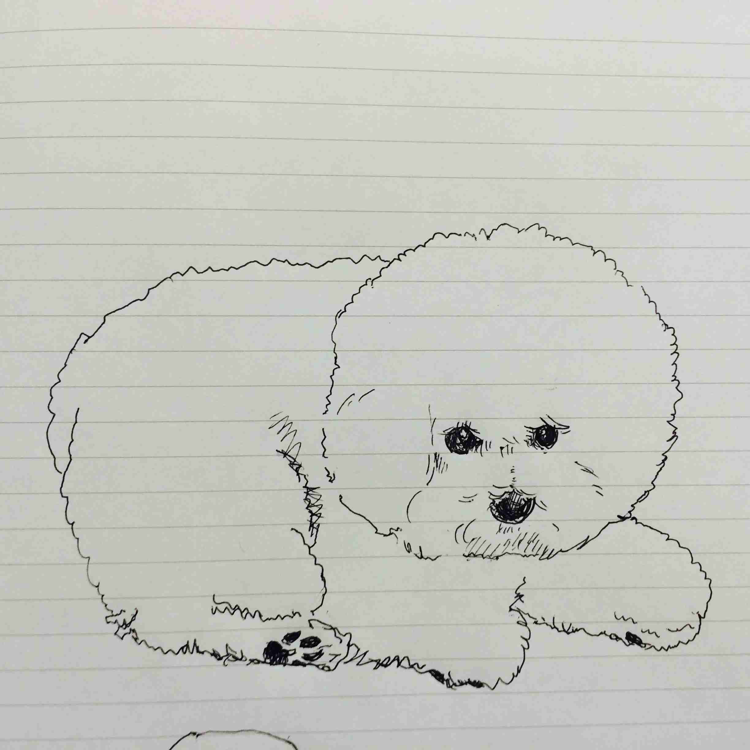 生き物を描こう！