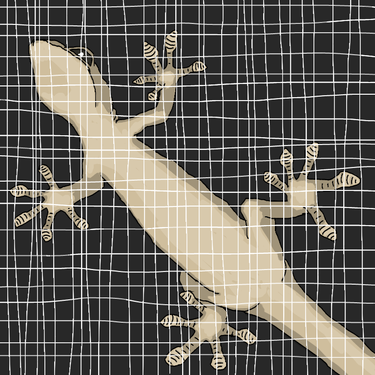 生き物を描こう！