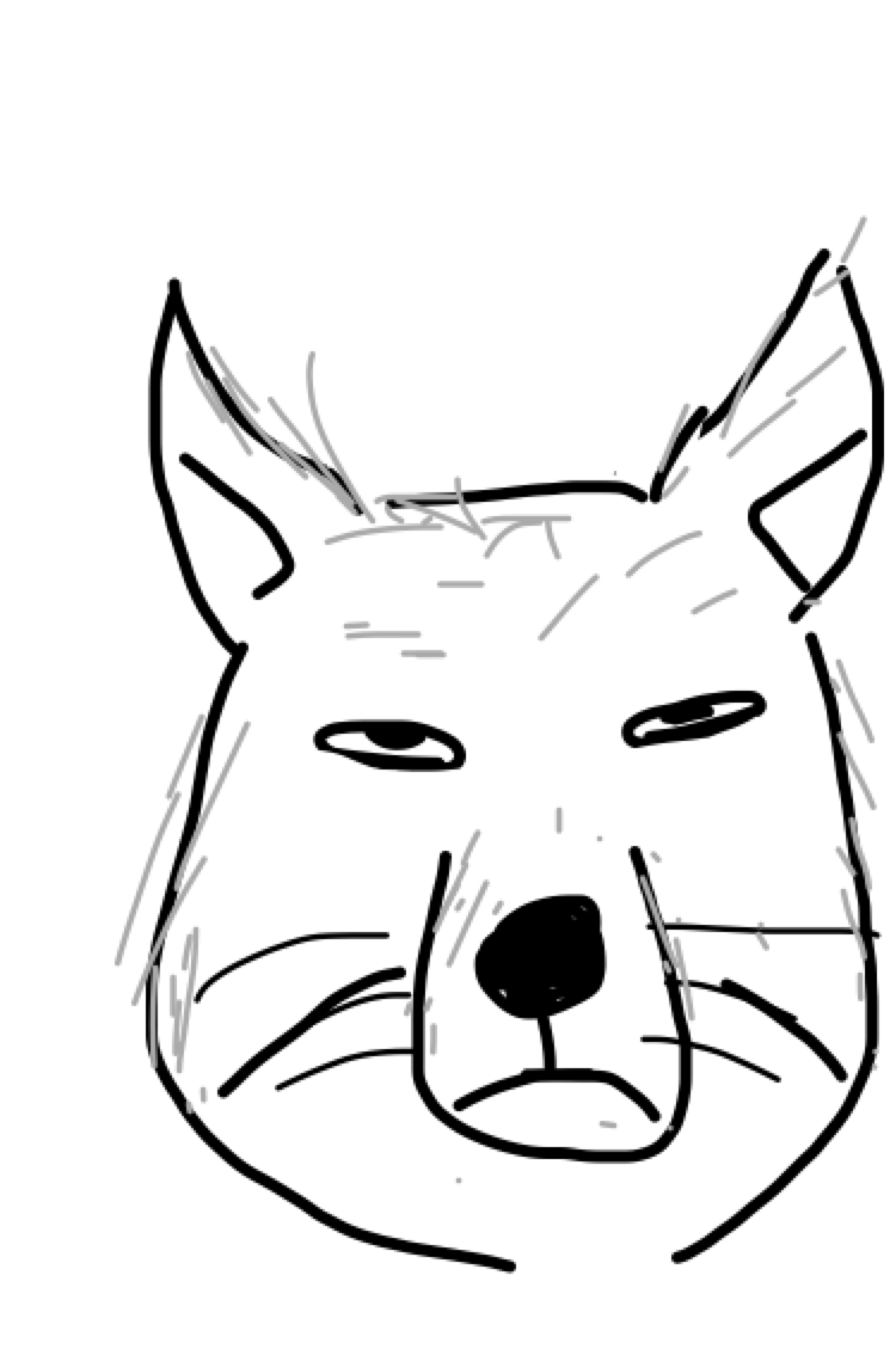 生き物を描こう！