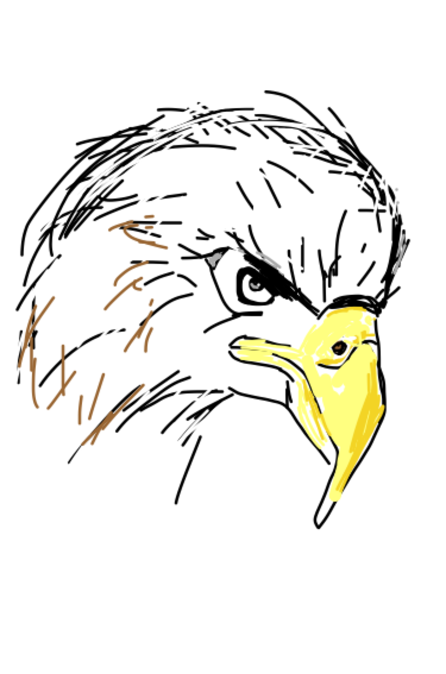 生き物を描こう！