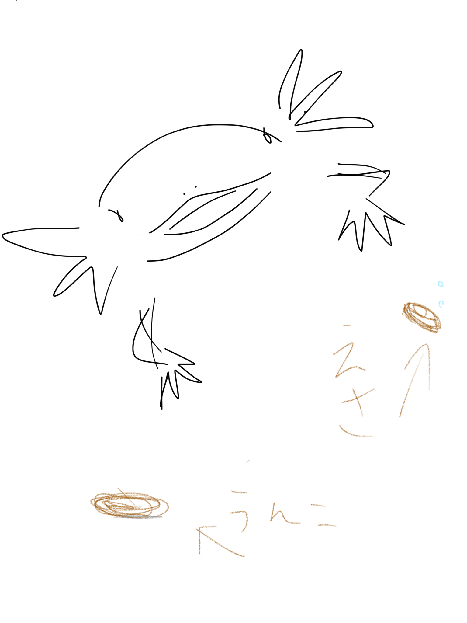 生き物を描こう！