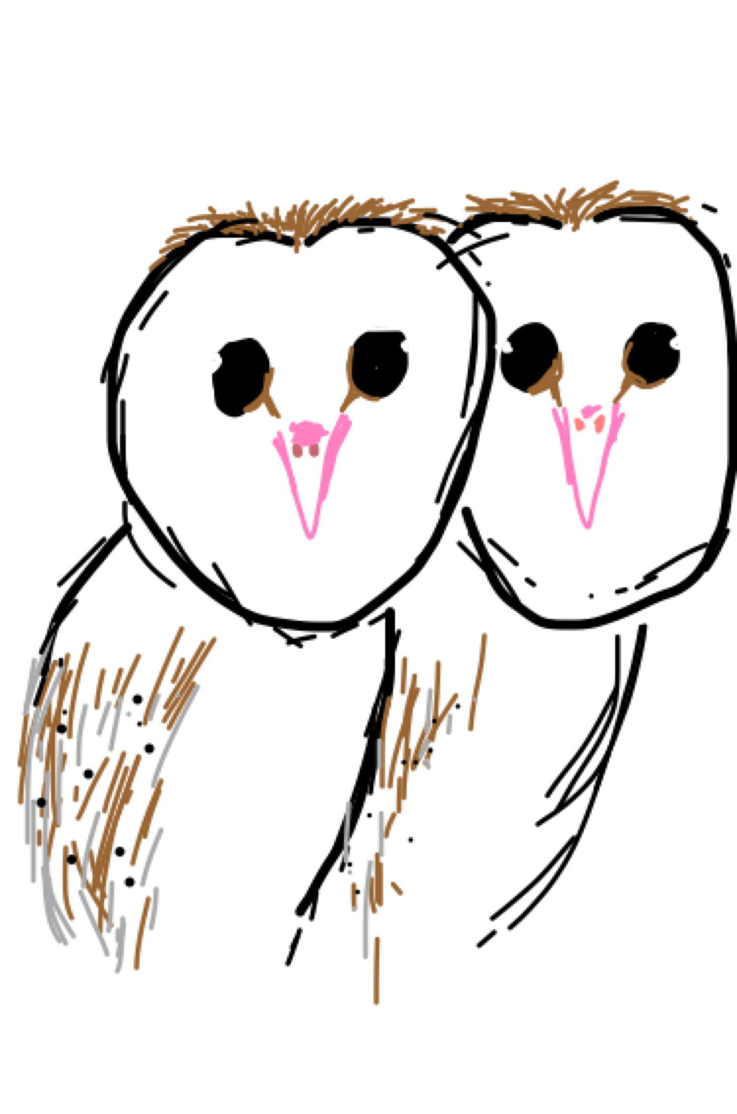 生き物を描こう！