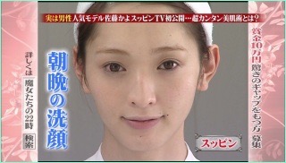 菜々緒と成宮寛貴の「お忍びディズニーデート」無断撮影画像を一般人が公開!