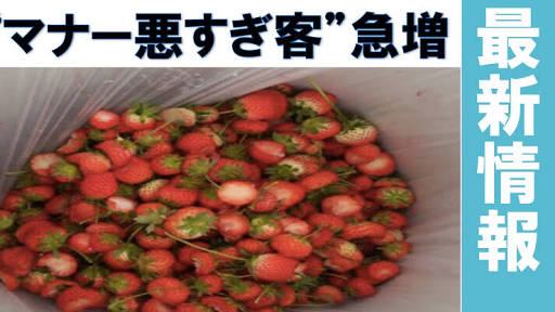 果物狩り・味覚狩りが好きな人！