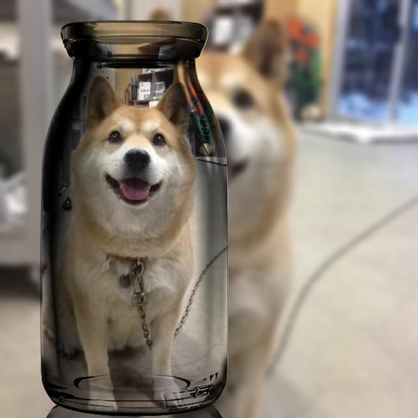 何もかもめんどくさいと思う人、集合～。