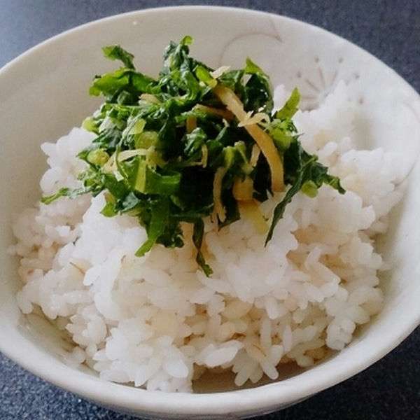 葉菜類が大好きな人