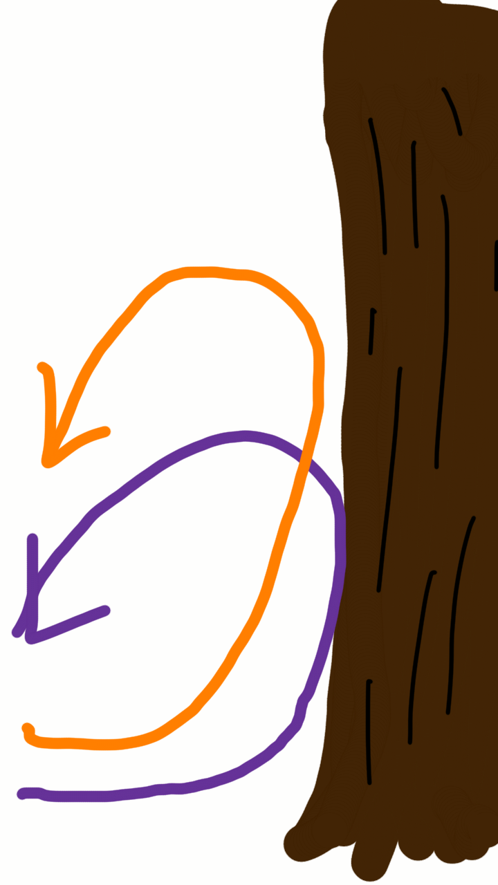 ペットに関することを質問すると誰かが教えてくれるトピ