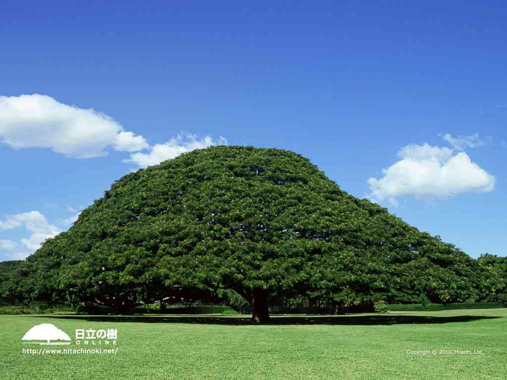 【画像】このCMを観たことがあったらプラスを押すトピ