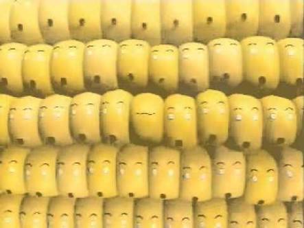 【画像】このCMを観たことがあったらプラスを押すトピ