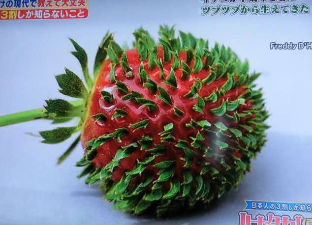 あなたの思い出してもゾワゾワ！鳥肌が立つものは？