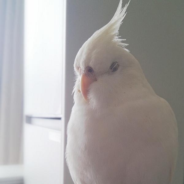 今の心境を写真やイラストで表現してください。