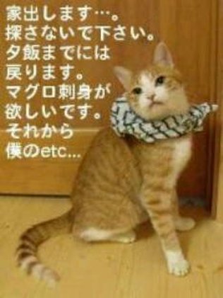今の心境を写真やイラストで表現してください。