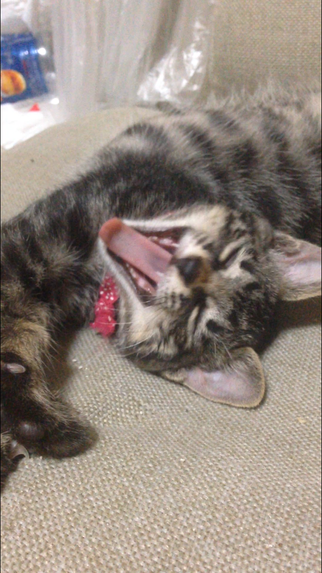 今の心境を写真やイラストで表現してください。