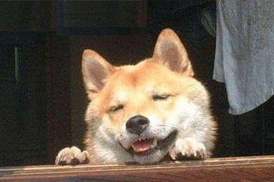 今の心境を写真やイラストで表現してください。