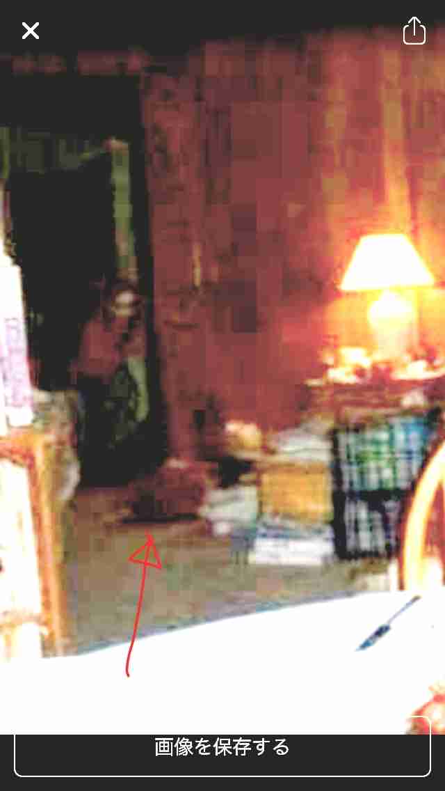 【閲覧注意】意味が分かると怖い話、画像