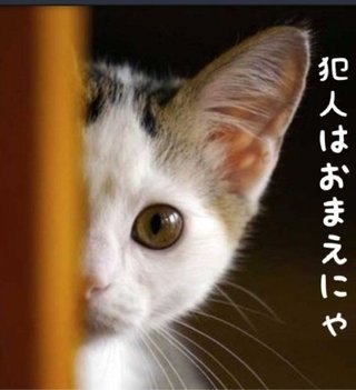 【閲覧注意】意味が分かると怖い話、画像