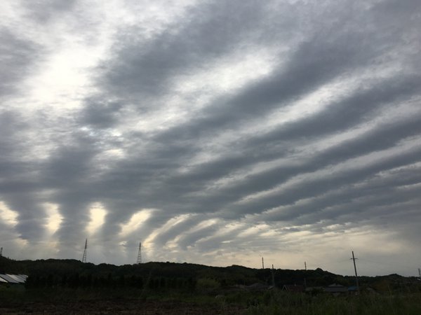 地震の前兆現象はあると思いますか？