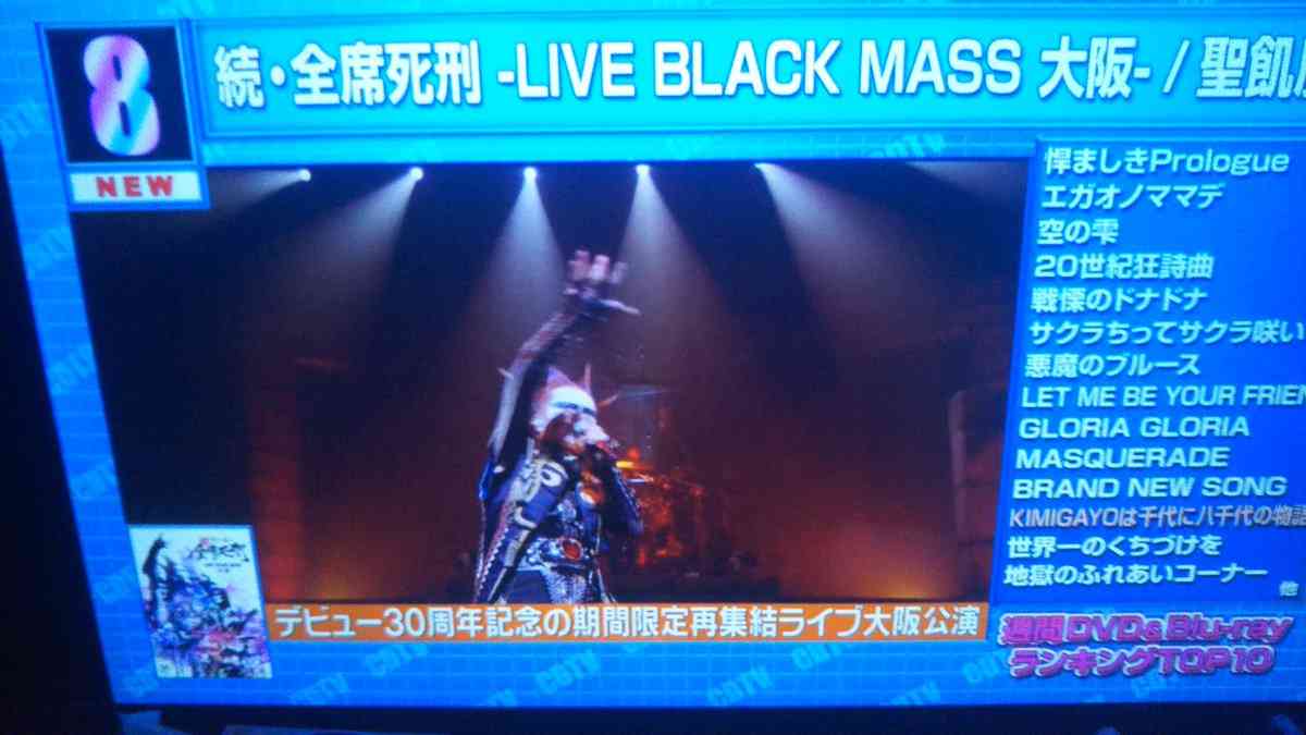 他国では有名なのに日本では人気の無いアーティストが好きな人