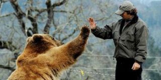 クマ被害、こう防ぐ…環境省が対策パンフレット