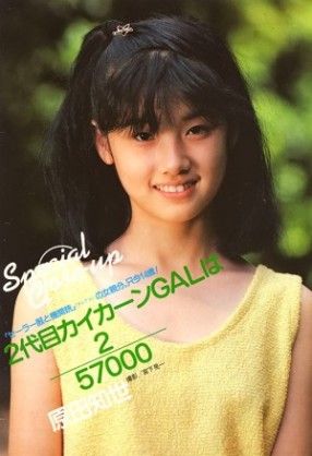 ベテラン・中堅女優が若手女優だった頃の画像を貼るトピ