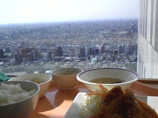 新宿を案内してください