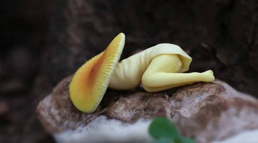 《みんなはどうしてる?》姑から貰ったけど捨てたい物