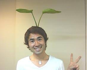 芸能人の触覚アリヘア、ナシヘアの比較画像