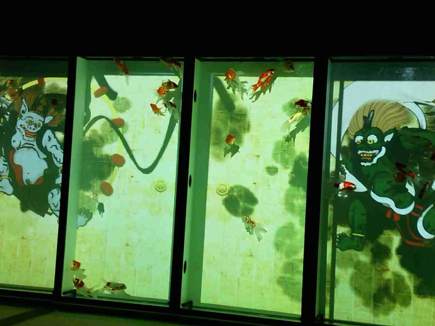 【 金魚】可愛い、綺麗なお魚画像ください~【熱帯魚 】