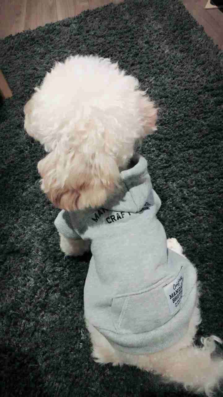 ガルチャン犬カフェ開店♡