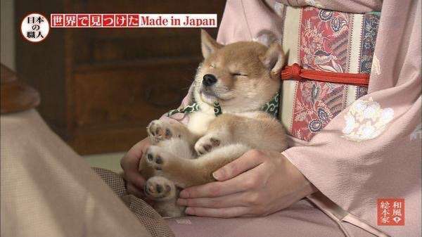 ガルチャン犬カフェ開店♡