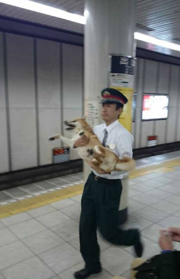 ガルチャン犬カフェ開店♡