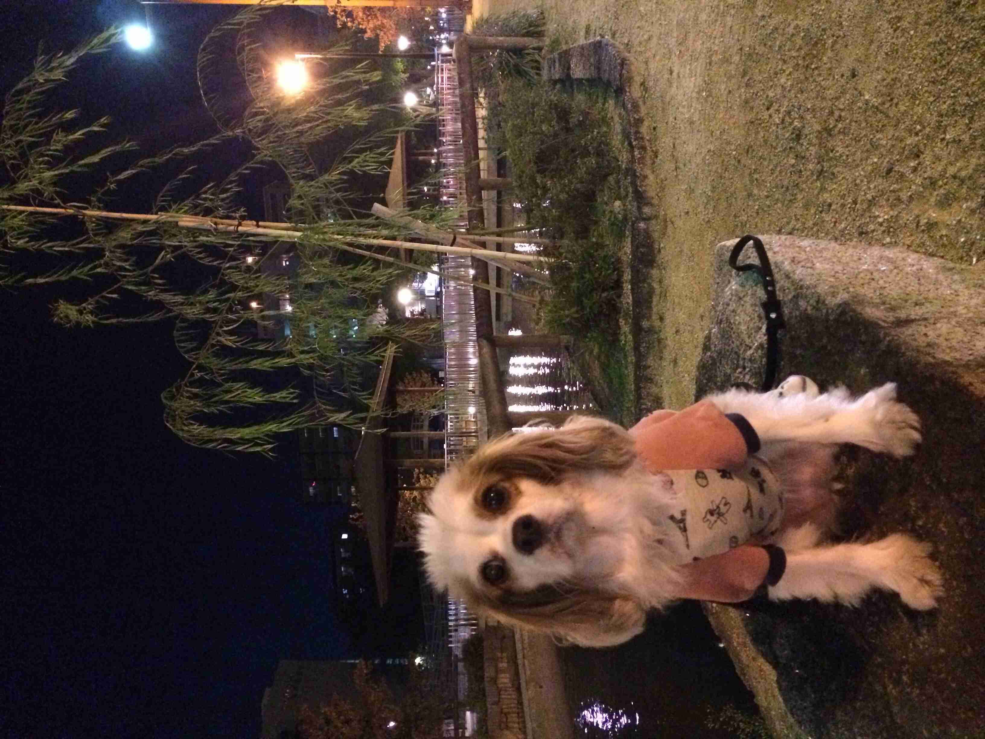 ガルチャン犬カフェ開店♡