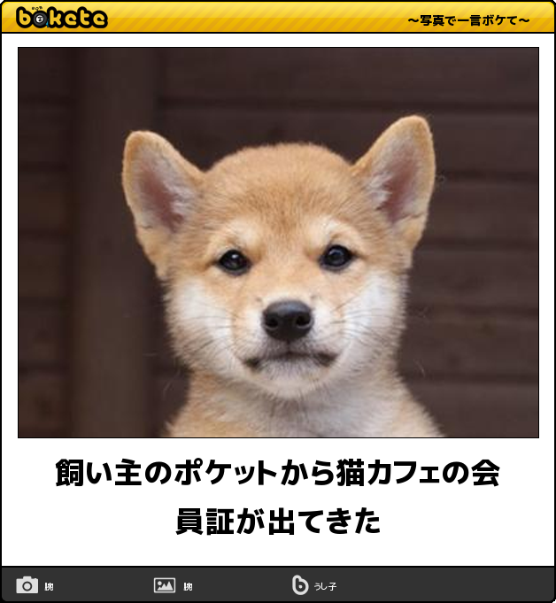 ガルチャン犬カフェ開店♡