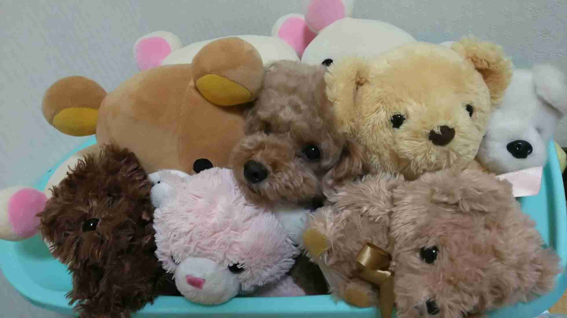 ガルチャン犬カフェ開店♡