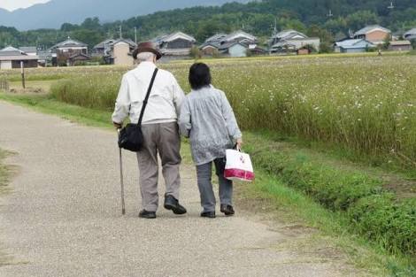 暖かくなる画像ください♡
