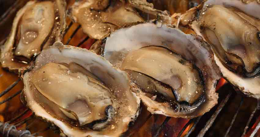 この世で1番美味しい食べ物は？
